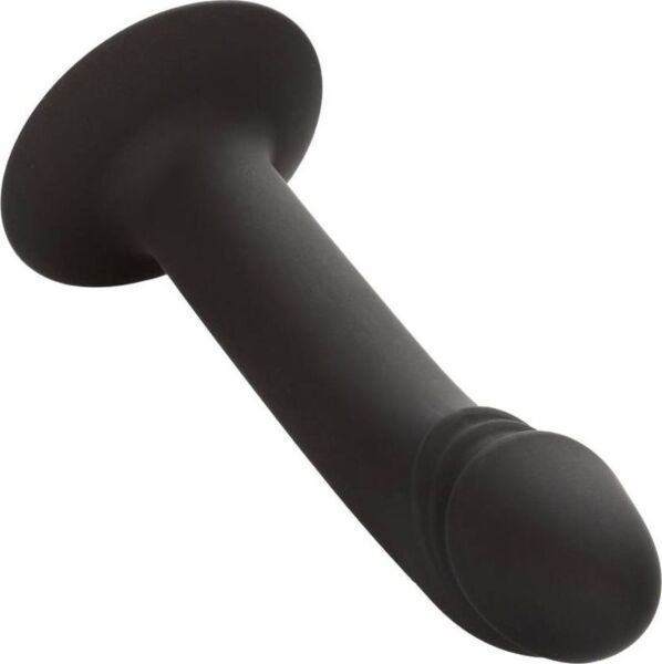 Anální dildo CalExotics Curved Anal Stud se zahnutou špičkou a základnou s přísavkou