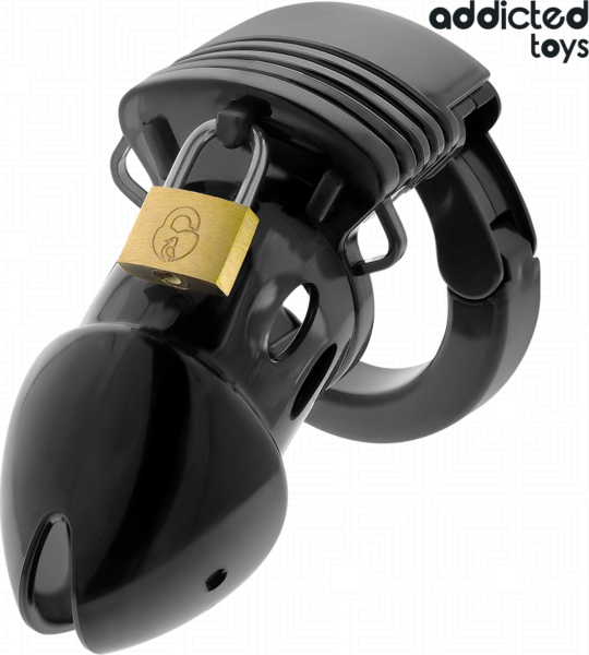 Klec cudnosti Addicted Toys Locked 7,5 cm s pubickým kroužkem, visacím zámkem a klíči