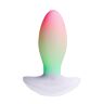 Vibrátor Paradise Pleasure Products The Plug s RGB osvětlením