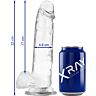Dildo X RAY Clear 22 cm s přísavkou