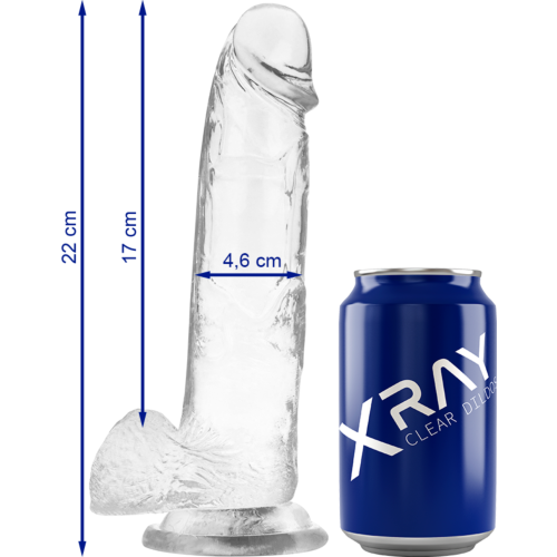 Dildo X RAY Clear 22 cm s přísavkou