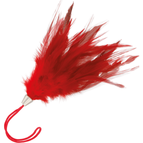 Pluma stimulátoru DARKNESS 20 cm pro erotické hrádky