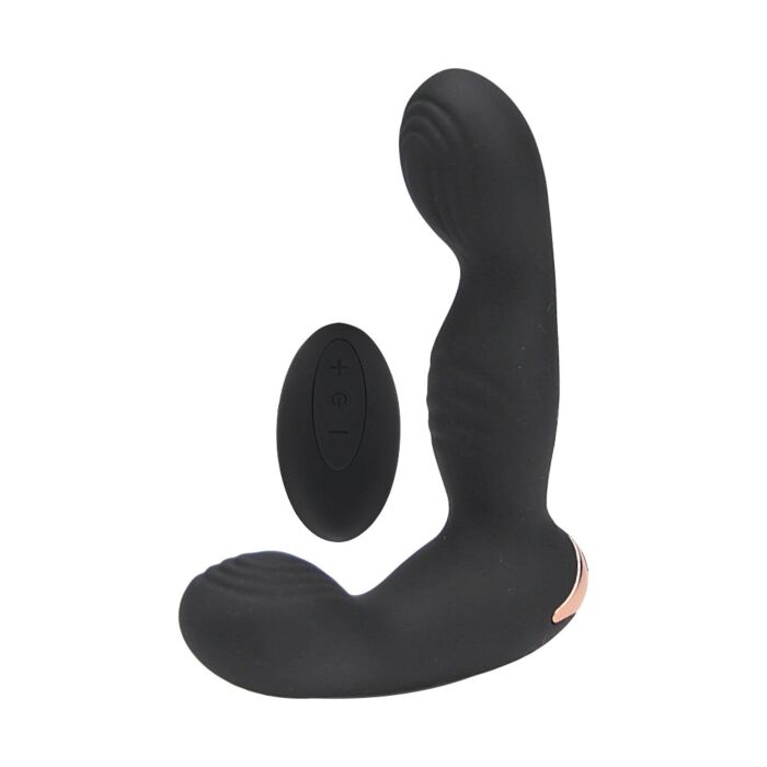 Masážník prostaty Rev Pro 10 Function s ovládáním na dálku Masážník prostaty Rev Pro 10 Function s ovládáním na dálku